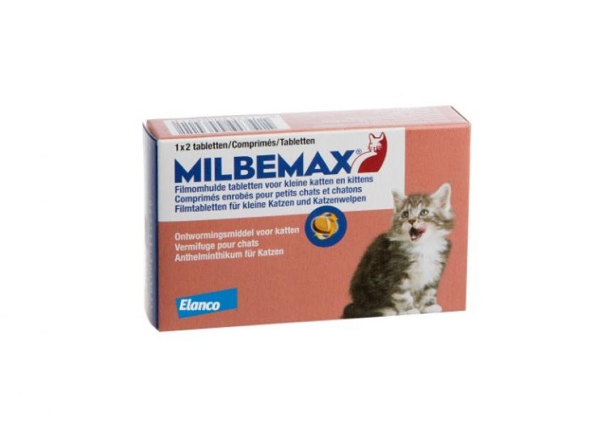 BNL_Milbemax kat-Kitten 1x2_JF_0933b (Klein)