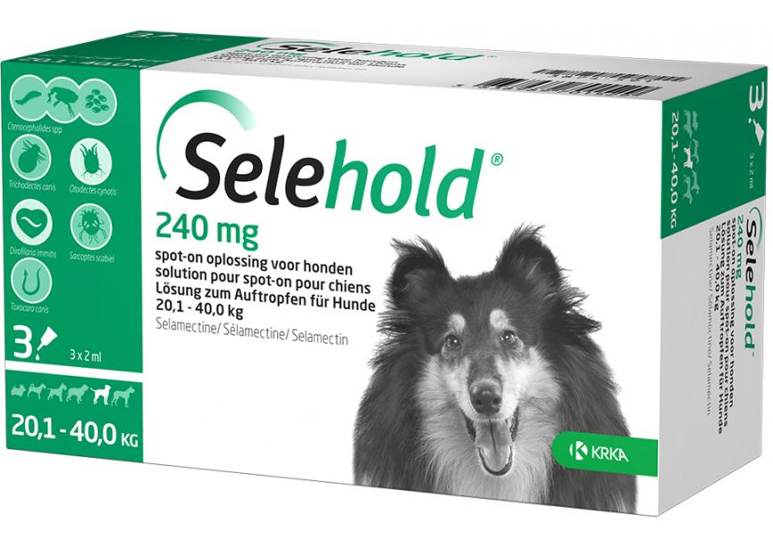 2019_02_SELEHOLD_3x240mg_BE