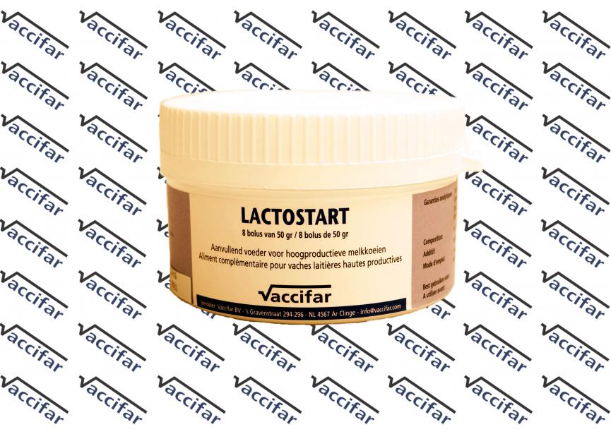 Lactostart achtergrond