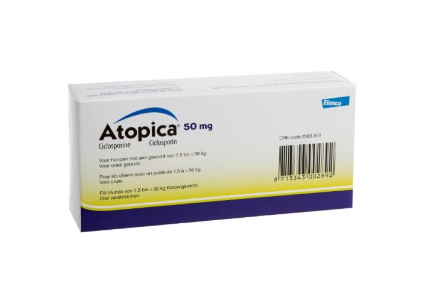 Atopica_PS_2 (Klein)