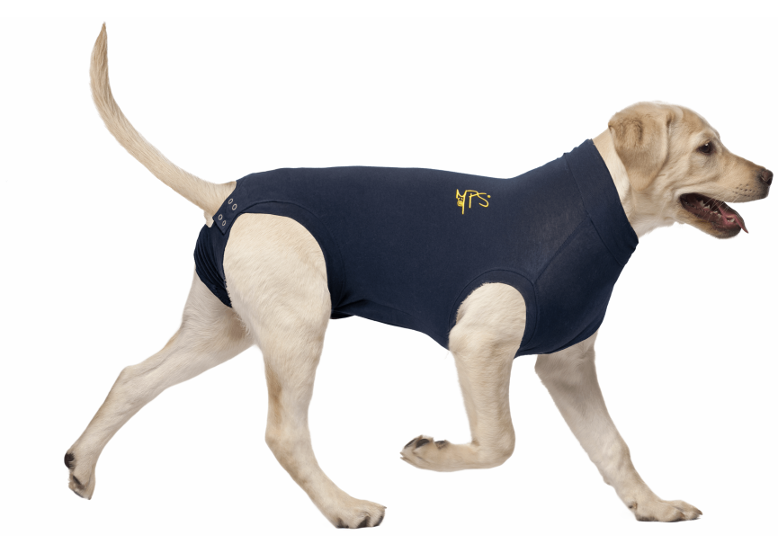 Medical Pet Shirt hond