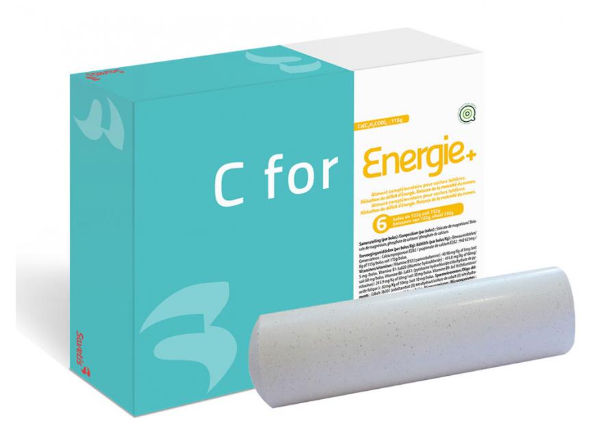 C for Energie+ 6 boli