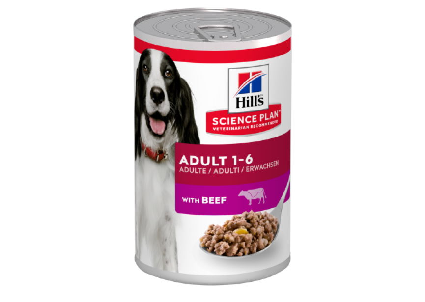 HI SP CAN AD BEEF 12X370G