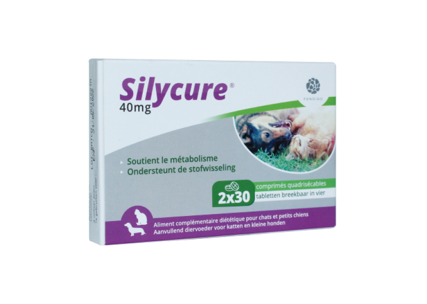 Silycure 40mg (Klein)