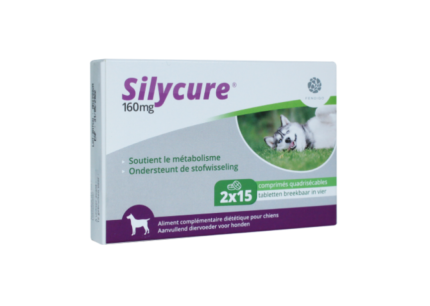 Silycure 160mg (Klein)