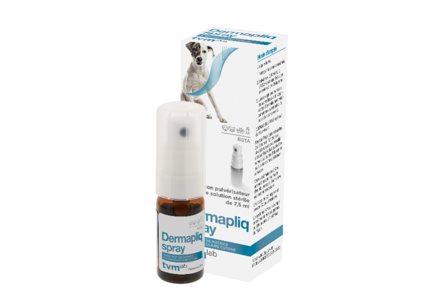 Dermapliq Spray