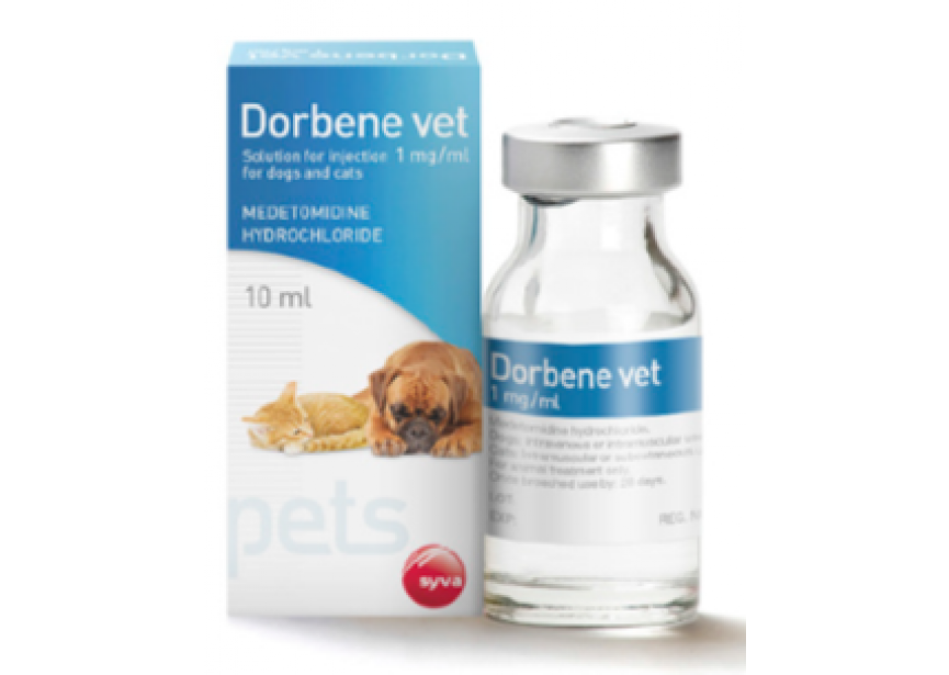 dorbene 5420004