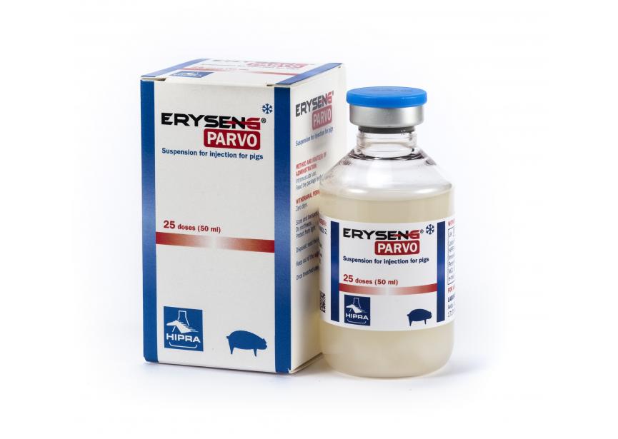 Eryseng Parvo 25ds