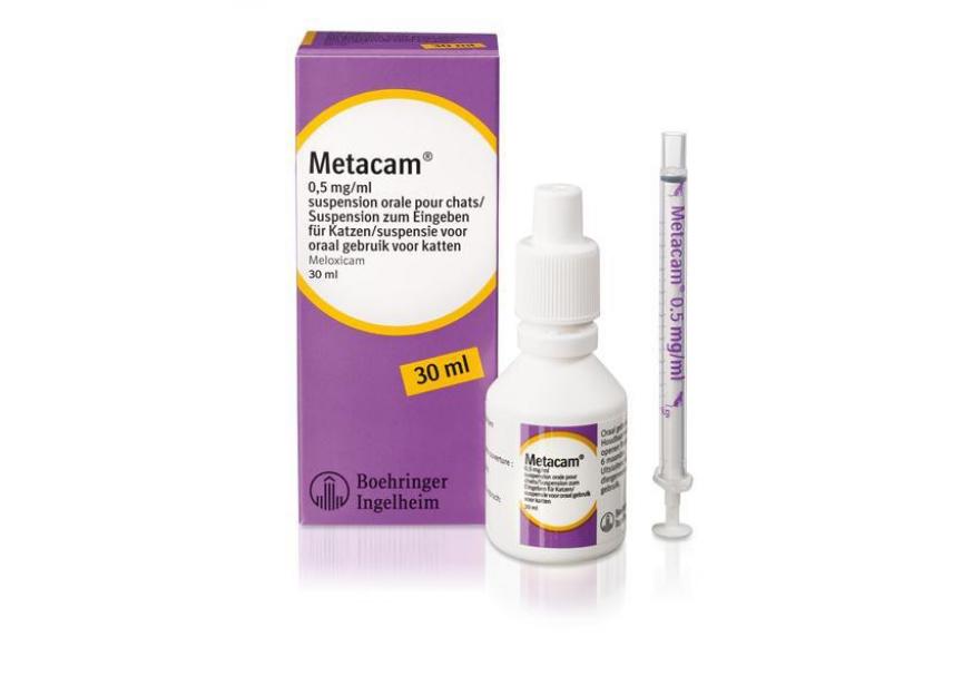 Metacam kat_30 ml_oral suspensie