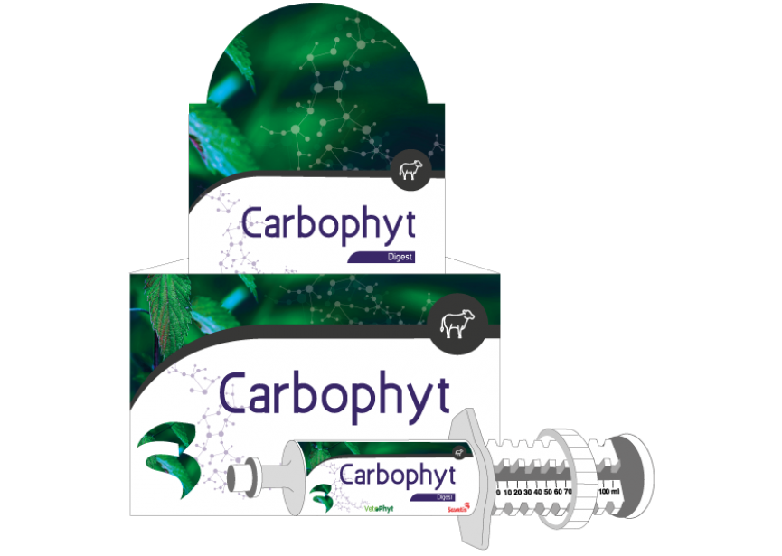 CarboPhyt 12x100ml