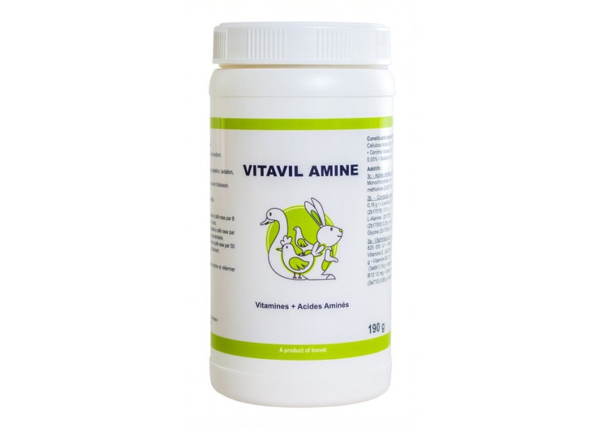 VITAVIL AMINE 190G