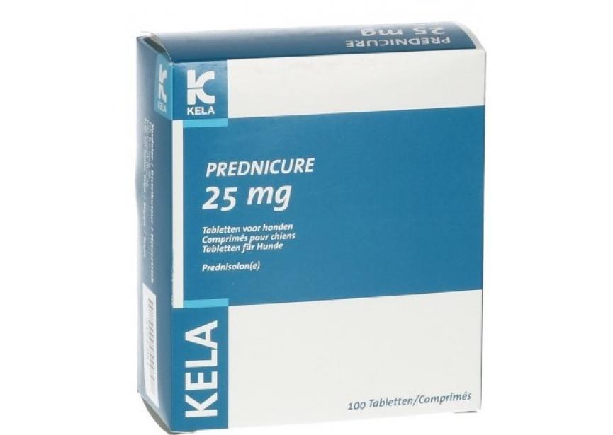 PREDNICURE 25MG 100 CO