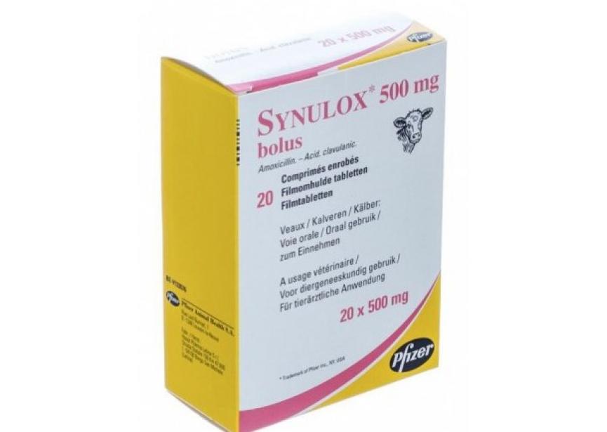 SYNULOX 20 X 500 MG BOLUS