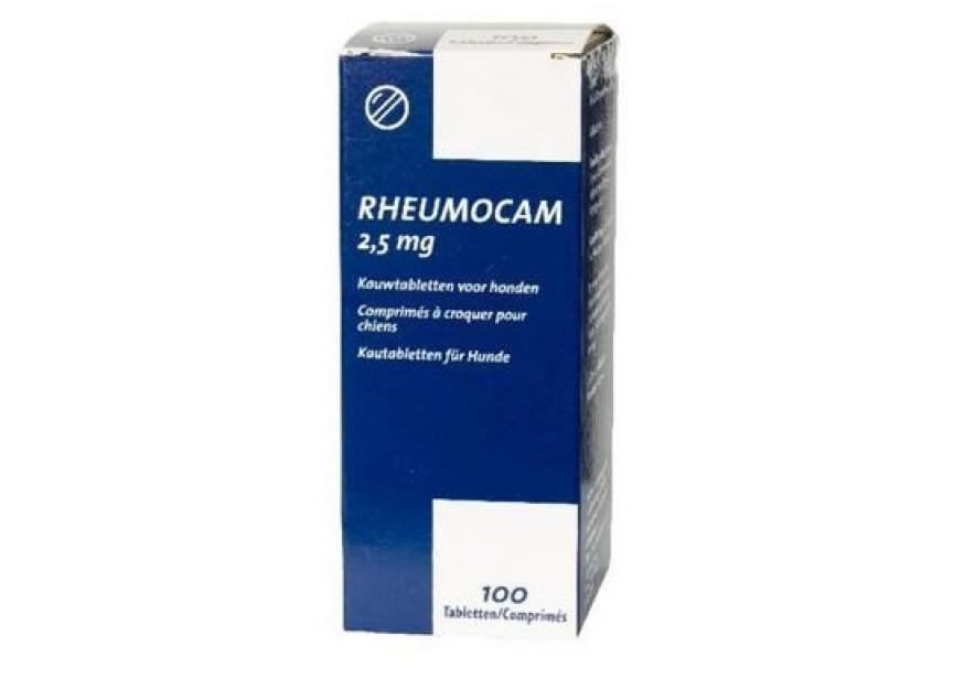 RHEUMOCAM 2,5 MG    100 T