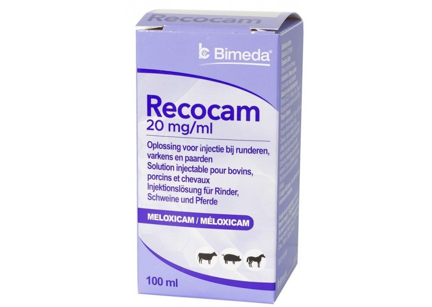 RECOCAM 20MG ML 100ML