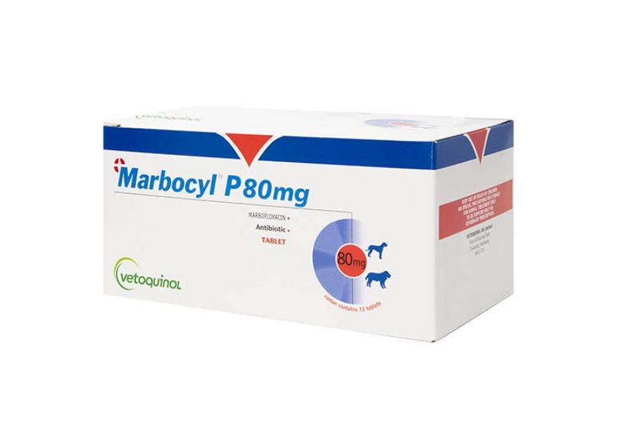 MARBOCYL P 80MG 72 CO