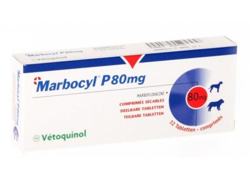 MARBOCYL P 80MG 12 CO