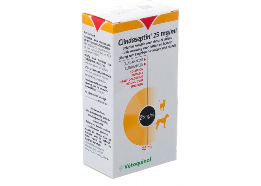 CLINDASEPTINE 22ML