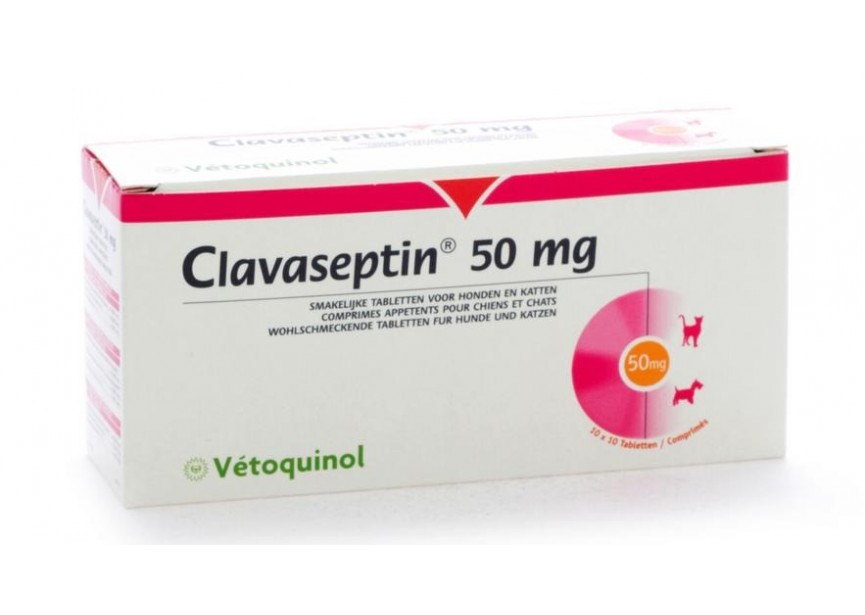 CLAVASEPTIN 50MG 100 COENISYL F 100ML