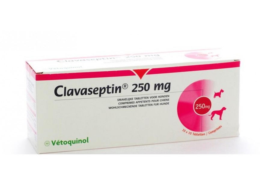 CLAVASEPTIN 250MG 100 CO