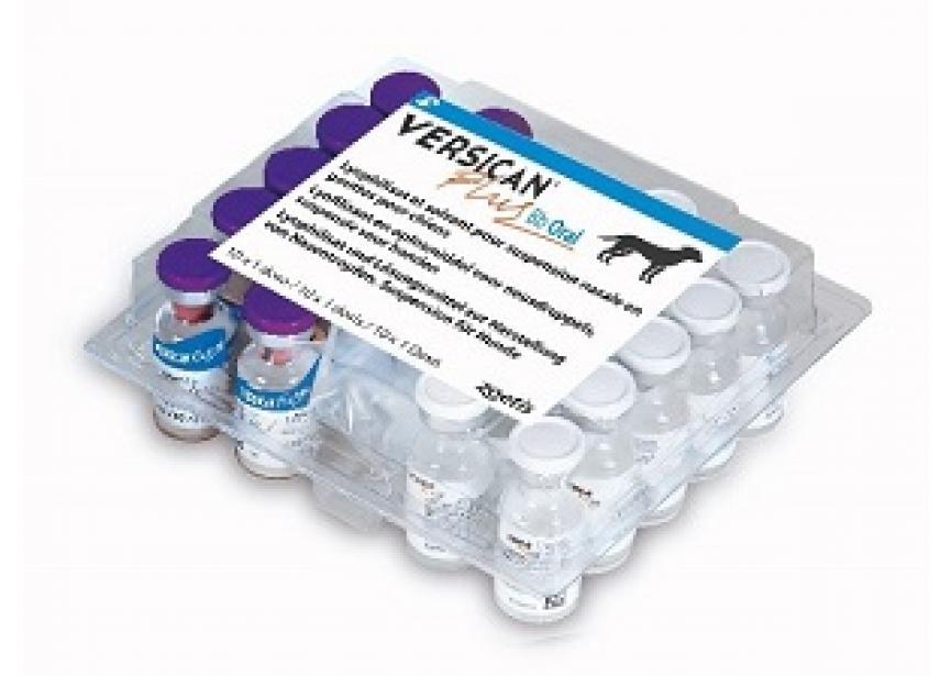 VERSICAN PLUS BB ORAL 10X1D