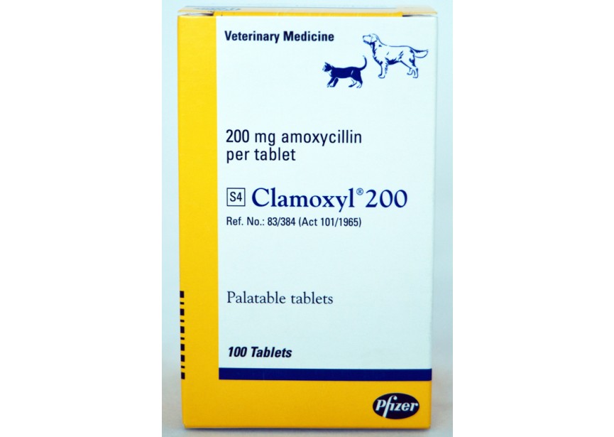 CLAMOXYL 200MG 100CO