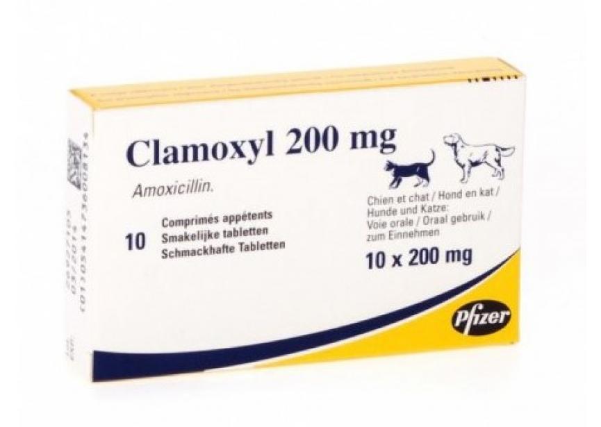 CLAMOXYL 200MG 10C0