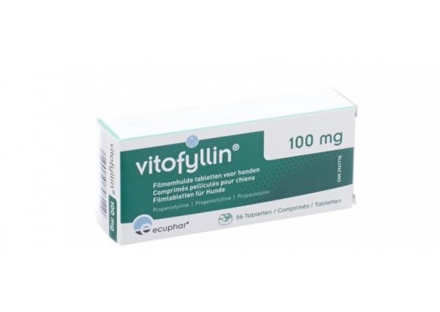 VITOFYLLIN 100 MG 56CO HOND