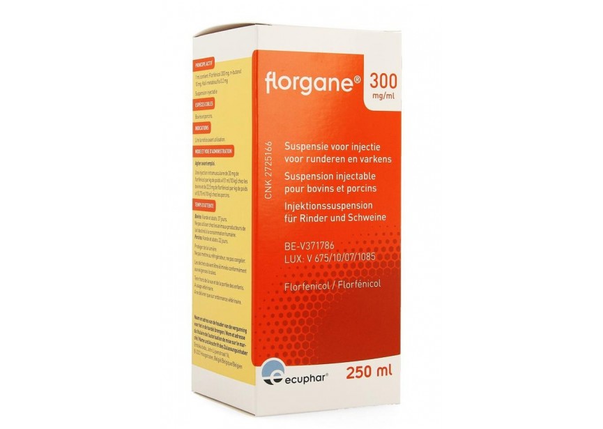 FLORGANE 300 MG ML 250 ML