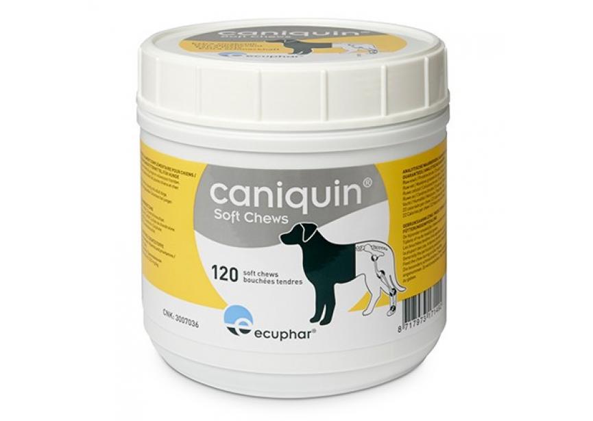 CANIQUIN SOFT CHEWS 120