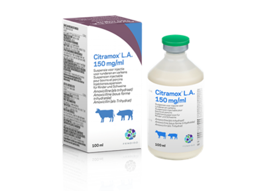 CITRAMOX LA 150MG ML 100ML