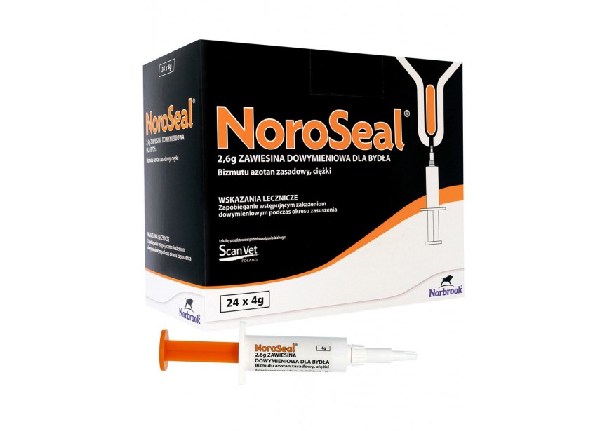 NOROSEAL 24 INJ