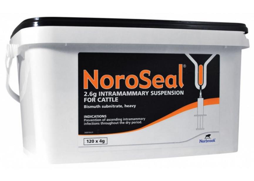 NOROSEAL 120 INJ