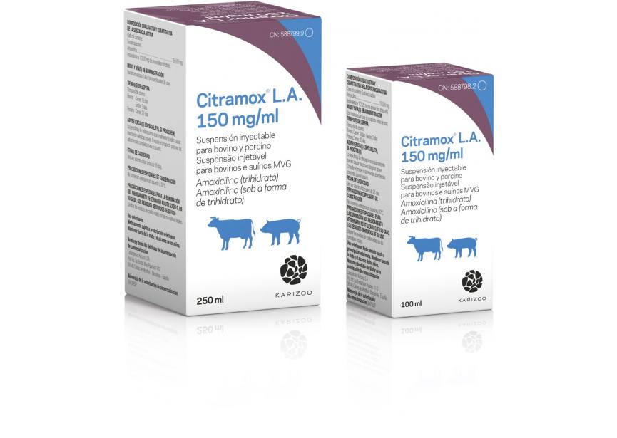 CITRAMOX L.A. 250ML