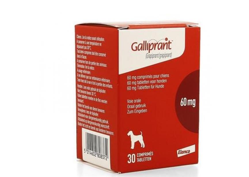 GALLIPRANT 60MG 30CO