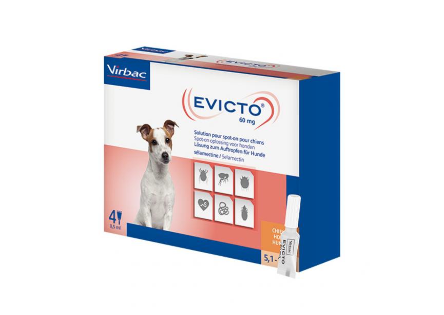 EVICTO 60MG SO HOND 5,1-10KG