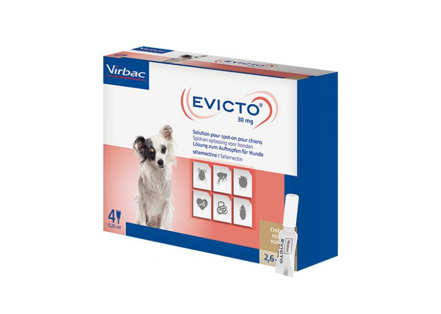 EVICTO 30MG SO HOND 2,6-5KG