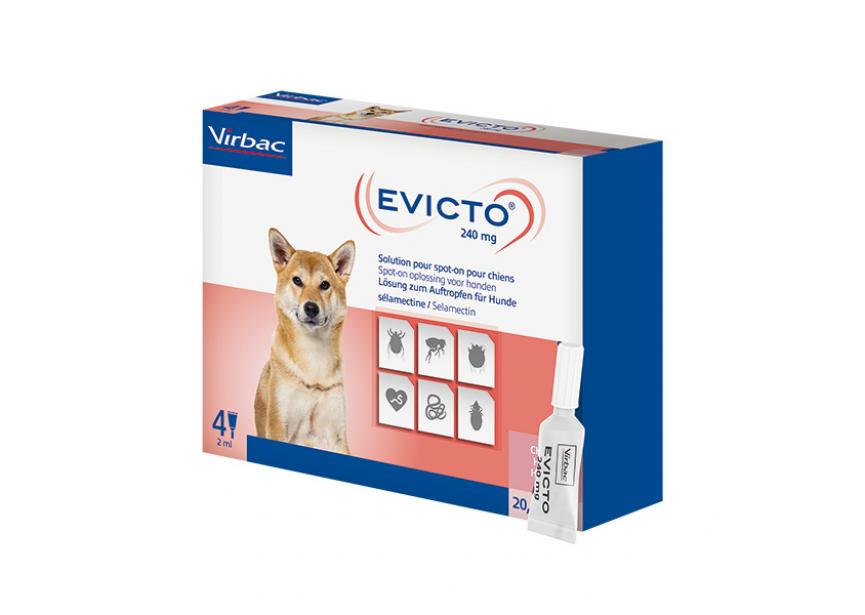 EVICTO 240MG SO HOND 20,1-40KG