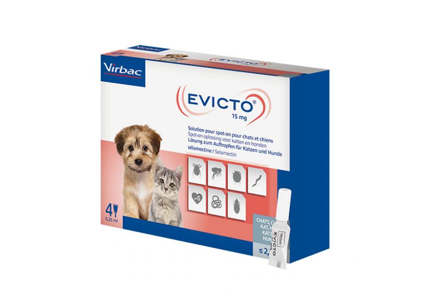 EVICTO 15MG SO KAT EN HOND minder dan 2,5KG