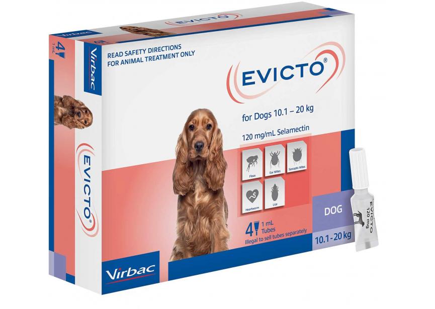 EVICTO 120MG SO HOND 10,1- 20KG