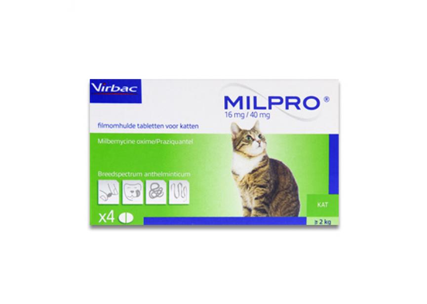 MILPRO KATTEN  4CO