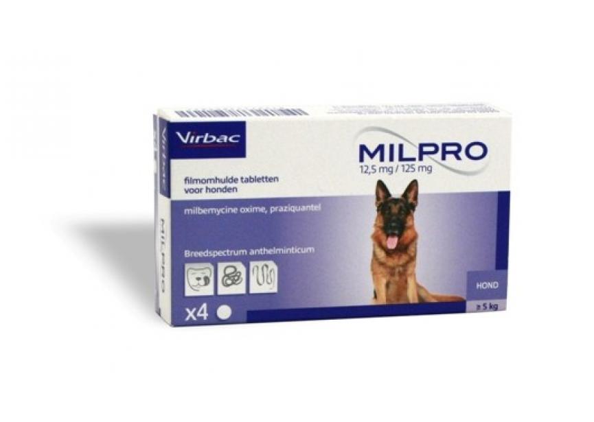 MILPRO HONDEN  4CO