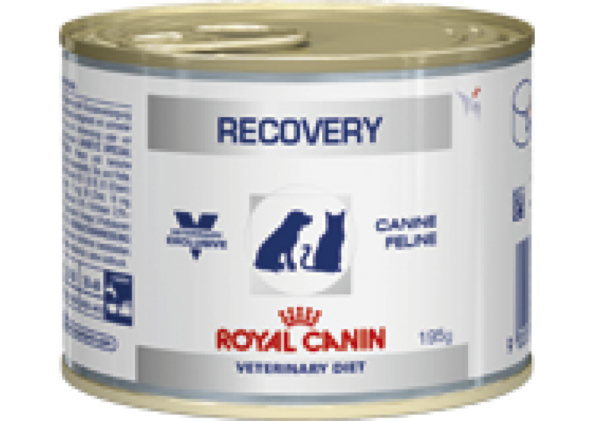 RC INSTANT REC CAT DOG 12X195G