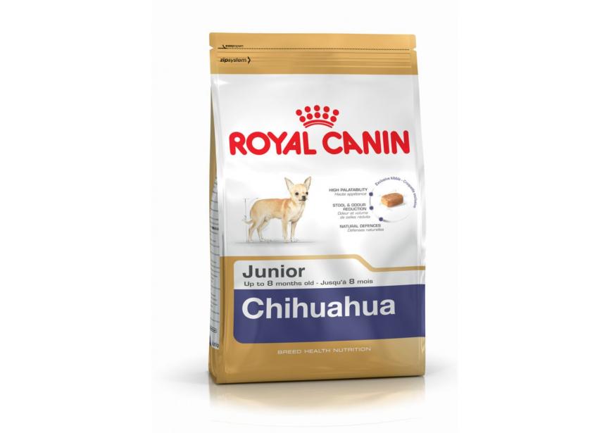 RC CHIHUAHUA JUNIOR 1.5KG