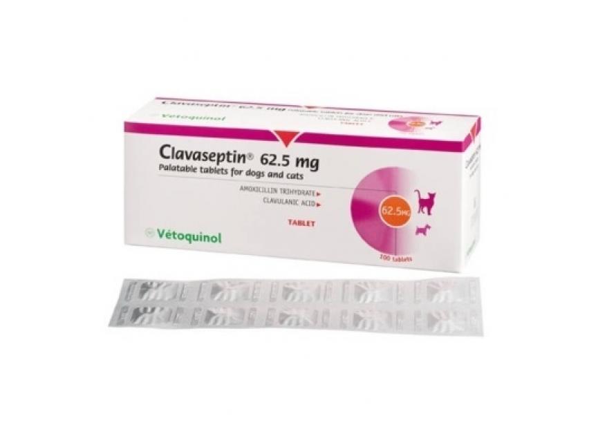 CLAVASEPTIN 62.5MG 100 CO