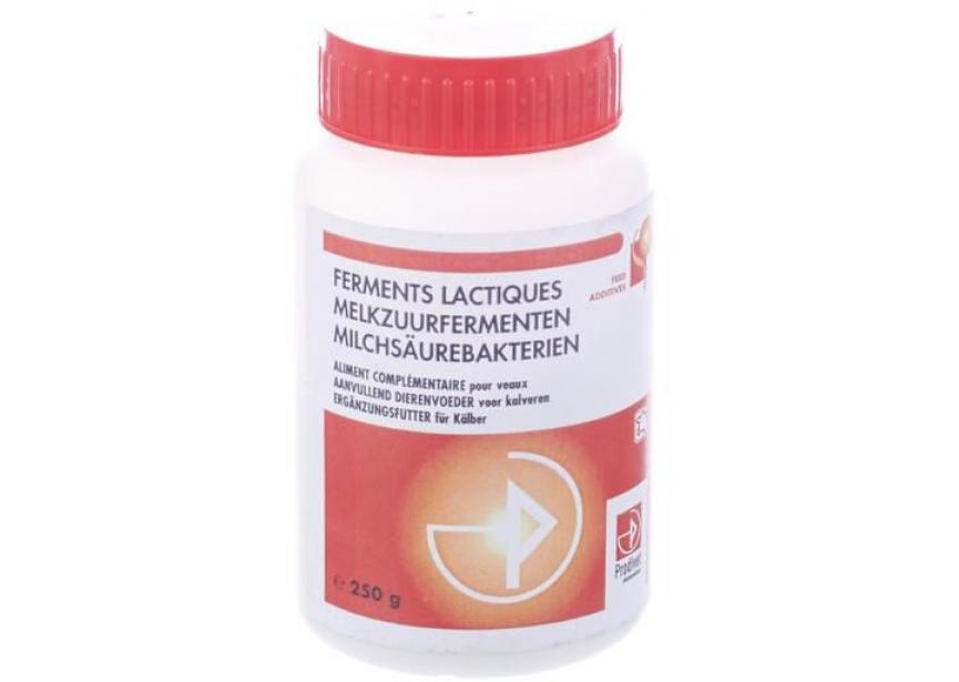 MELKZUURFERMENTEN 250 GR PROD