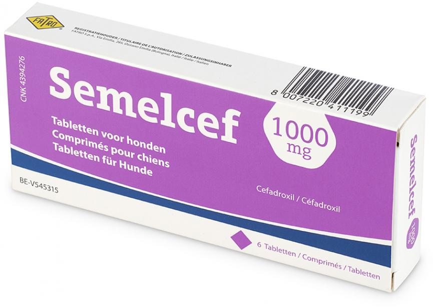 semelcef 1000mg 6 tab