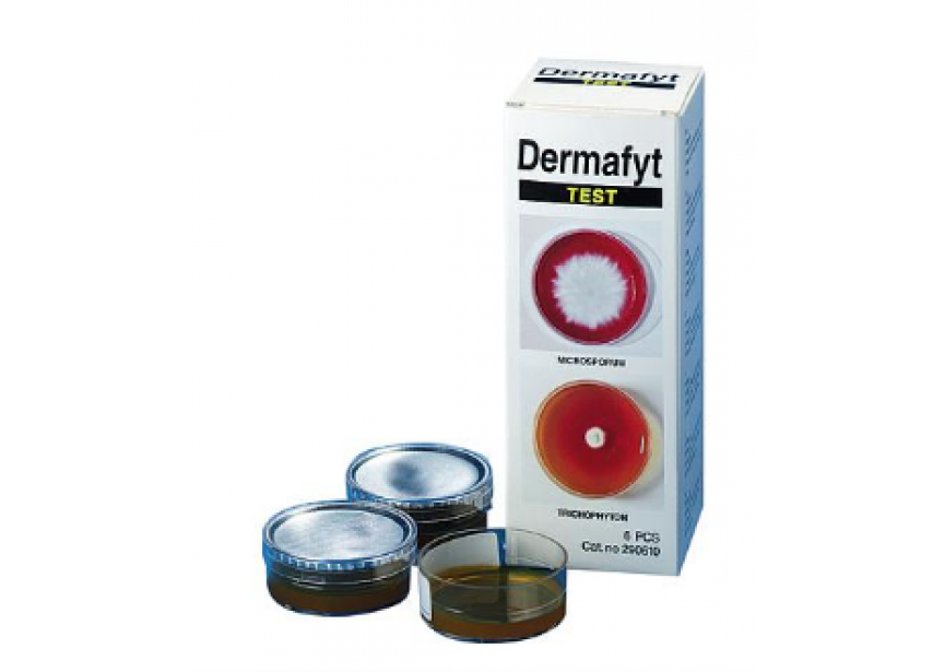 DERMAFYT TEST 6 ST