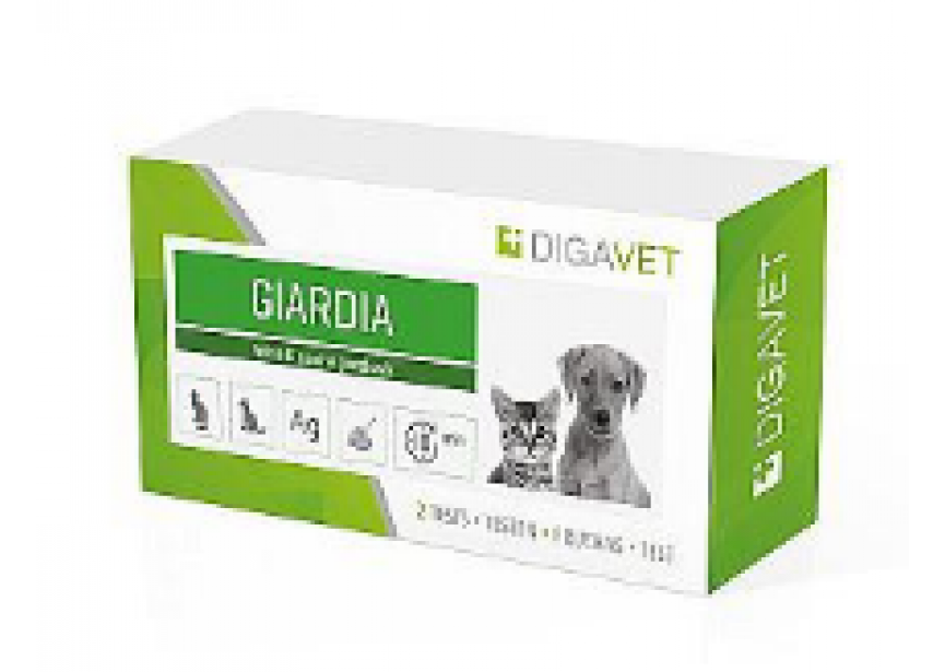 DIGAVET HOND KAT GIARDIA