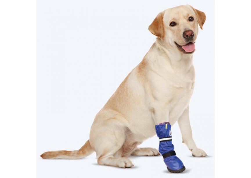 Medical-Pet-Boot-2_